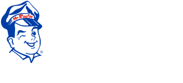 Mr Rooter logo