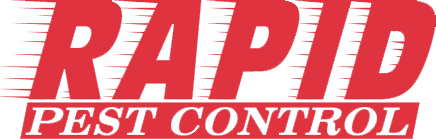 Rapid logo